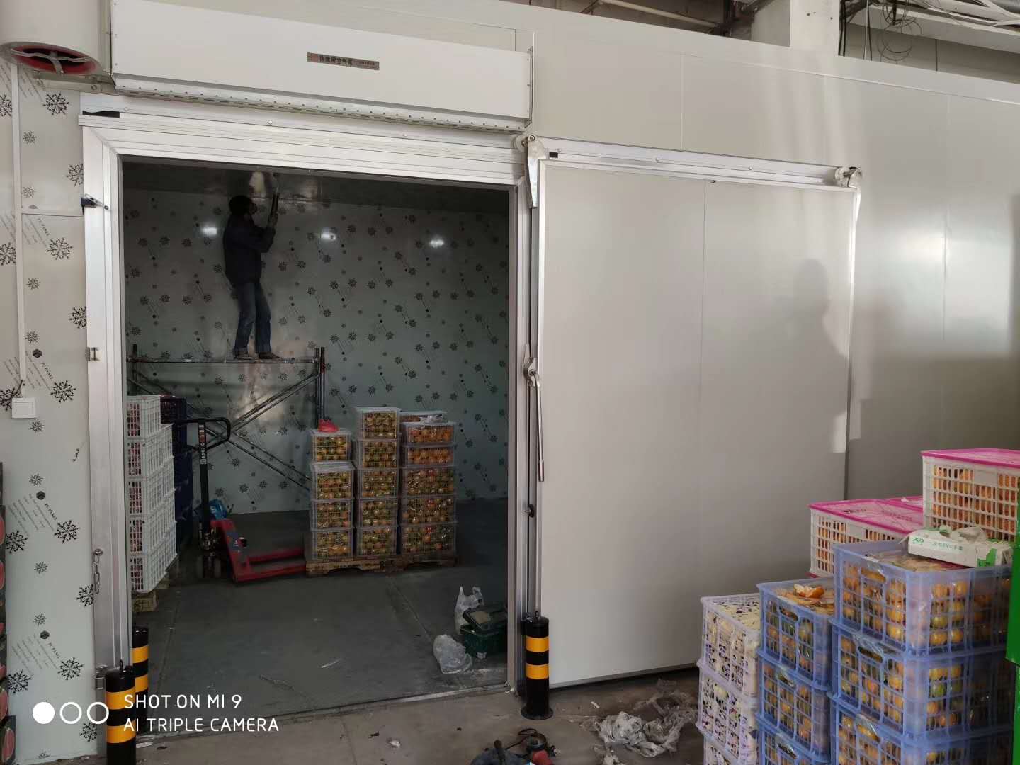 安徽大世界果品有限責任公司周谷堆市場冷庫